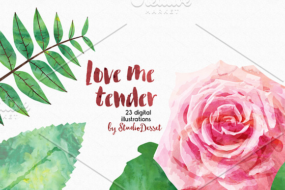 Love Me Tender - 23 illustrations in Illustrations - product preview 4