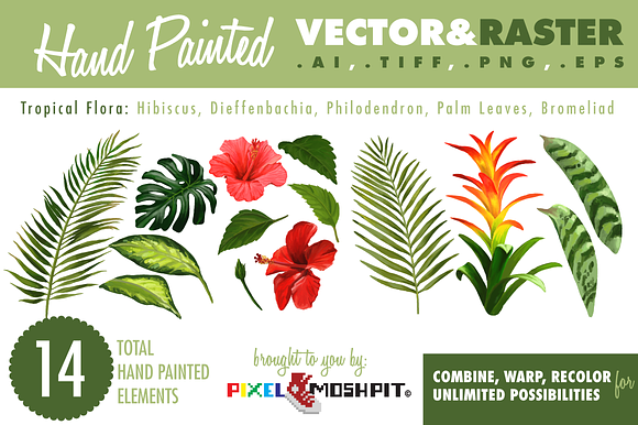 Tropical Flora, Vector & Raster Pack in Illustrations - product preview 1