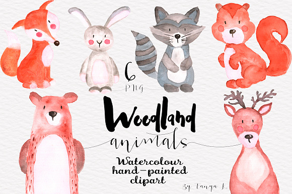 Woodland animals Watercolor Clipart in Illustrations - product preview 1