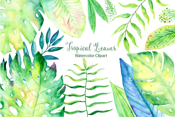 Watercolor Large Tropical Leaf