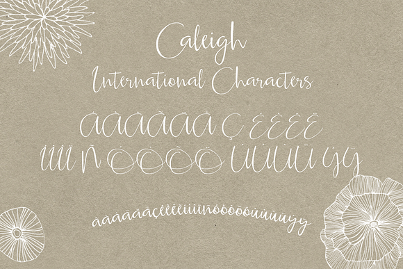 Caleigh Script Font with Bonus in Fancy Fonts - product preview 4