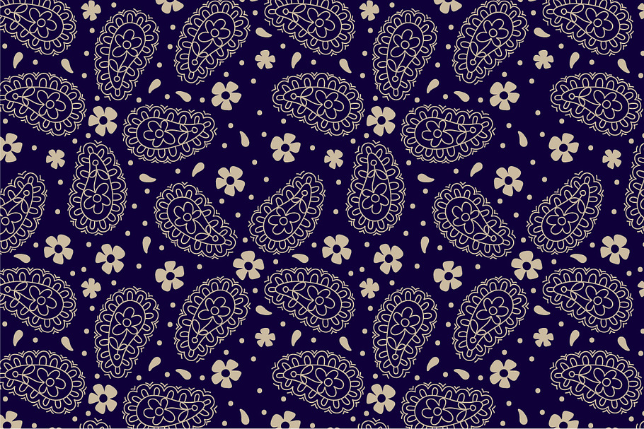 2 Paisley Patterns in Patterns - product preview 8