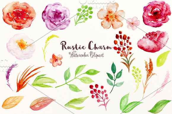 Watercolor Clipart Rustic Charm in Illustrations - product preview 1