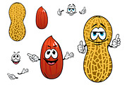 Funny kernel and pod of peanut chara