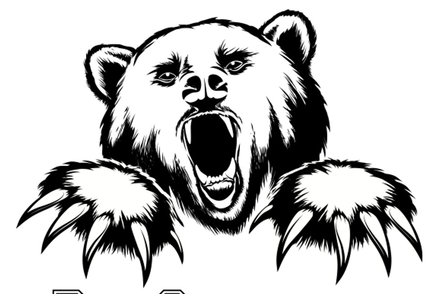 Vector angry bear head in Graphics - product preview 8