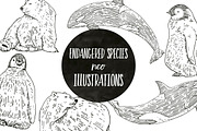 Endangered Species Illustrations