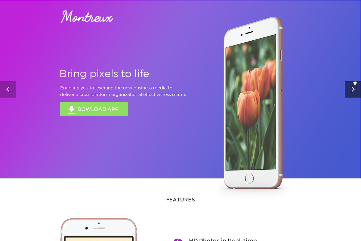 Mobile App Landing Page in App Templates - product preview 8