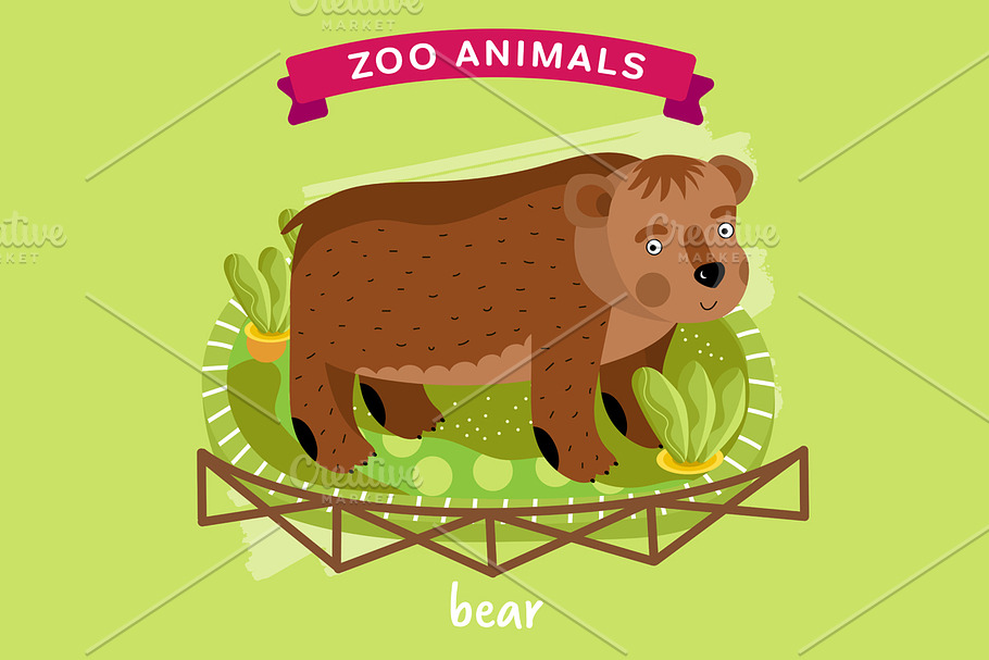 Zoo Animal, Bear