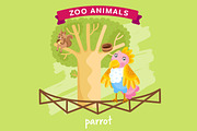 Zoo Animal, Parrot