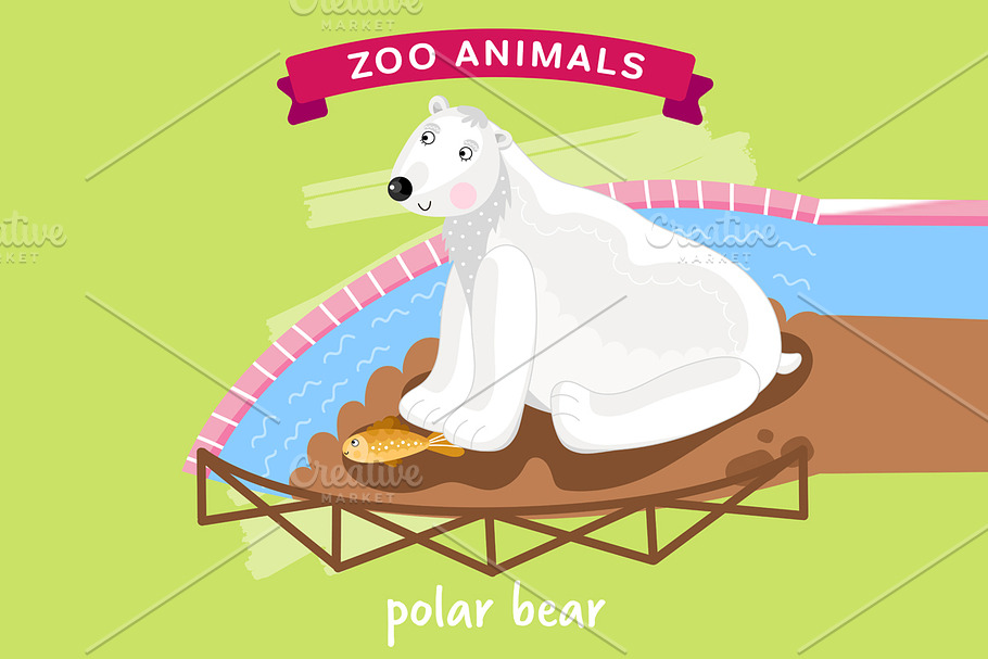 Zoo Animal, Polar Bear in Illustrations - product preview 8