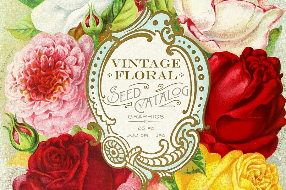 Vintage Floral Seed Catalog Graphics in Objects - product preview 8