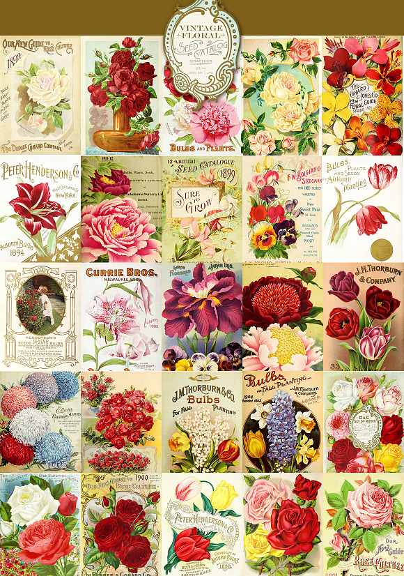 Vintage Floral Seed Catalog Graphics in Objects - product preview 1