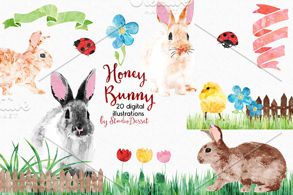 Honey Bunny - digital illustrations