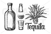 Glass, botlle, tequila, salt, lime