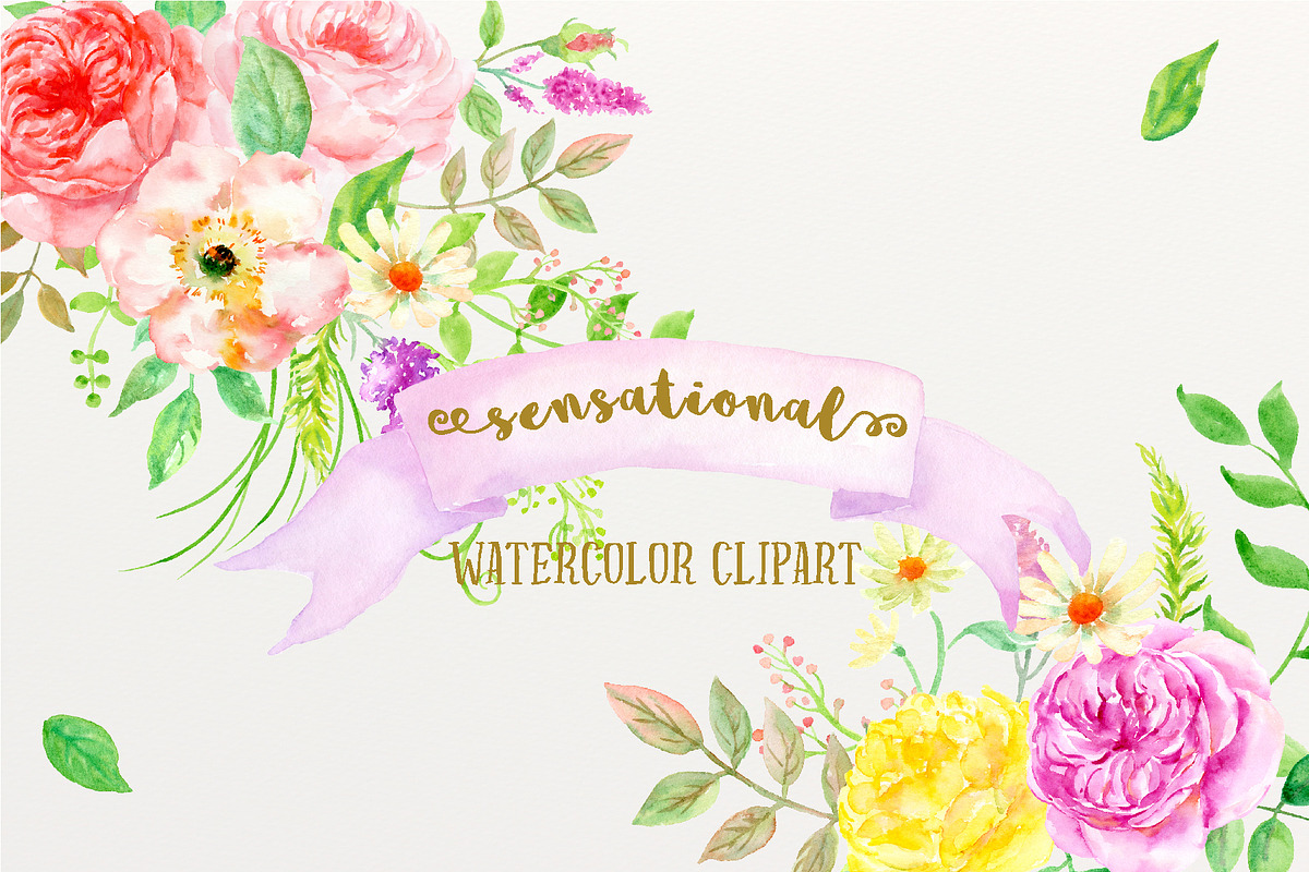 Watercolor clipart Sensational in Illustrations - product preview 8
