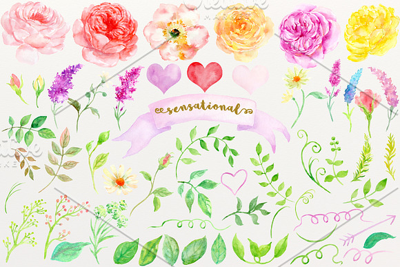 Watercolor clipart Sensational in Illustrations - product preview 1