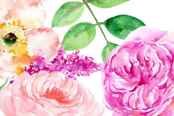 Watercolor clipart Sensational in Illustrations - product preview 2