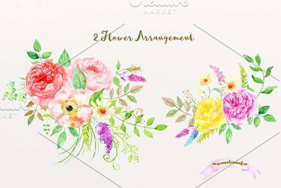 Watercolor clipart Sensational in Illustrations - product preview 3