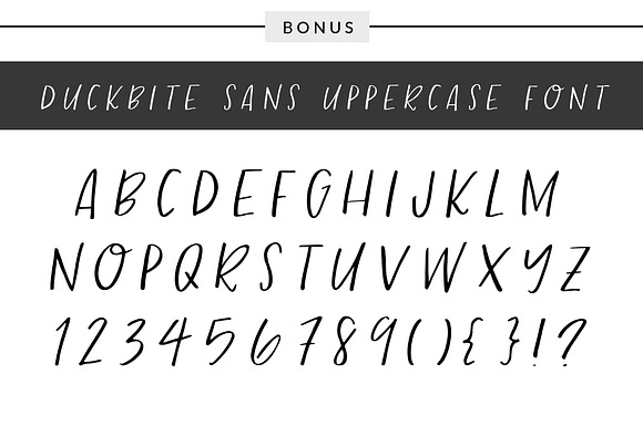 Duckbite Font Family in Script Fonts - product preview 6