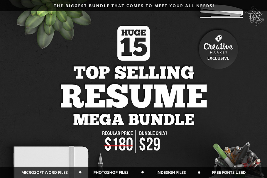 15 Top Selling Resume Mega Bundle