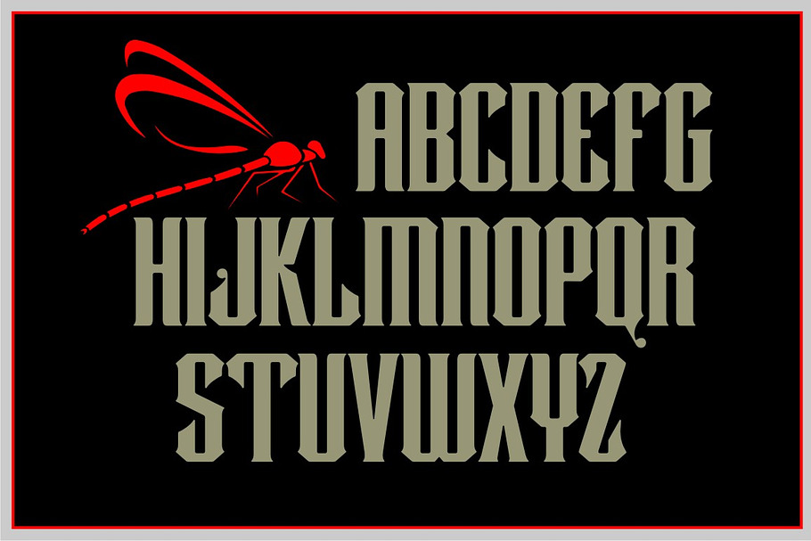 Dragonfly in Display Fonts - product preview 8