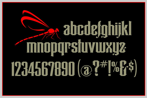 Dragonfly in Display Fonts - product preview 1