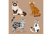 Set of cats. Vector Illustration