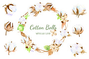 Watercolor clipart cotton bolls