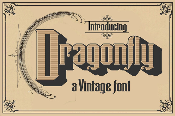 Dragonfly in Display Fonts - product preview 2