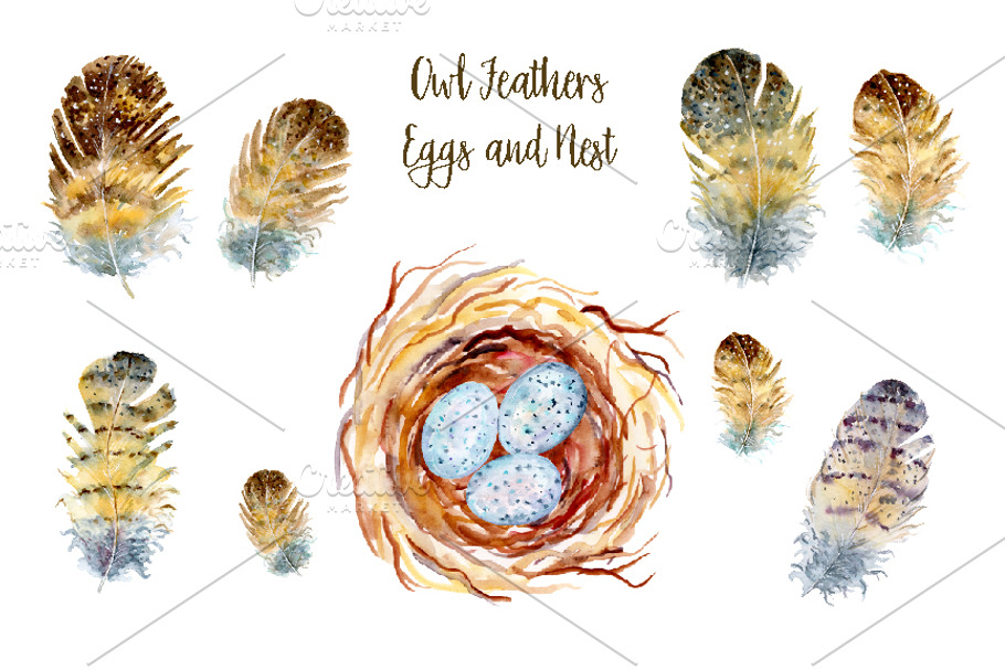 Owl Feather Illustration Clip Art