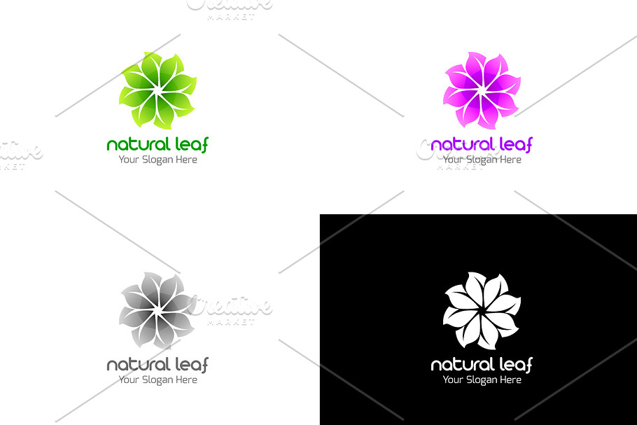 Natural Leaf Logo in Logo Templates - product preview 8