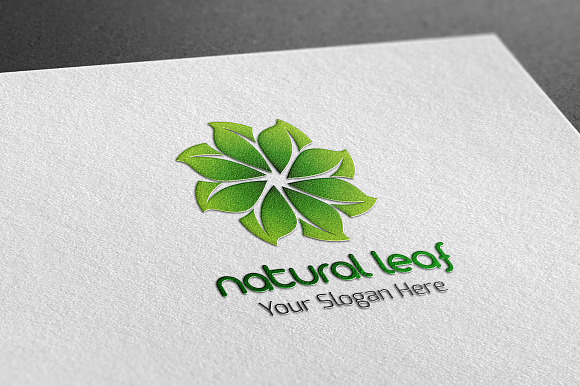 Natural Leaf Logo in Logo Templates - product preview 1