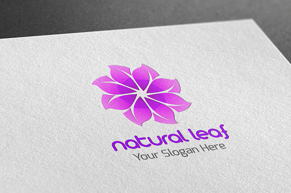 Natural Leaf Logo in Logo Templates - product preview 2