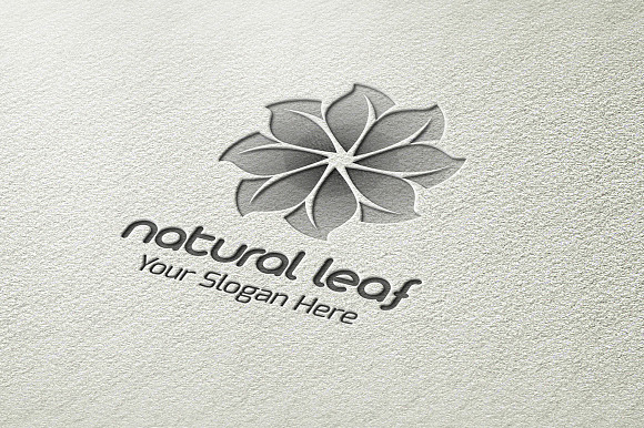 Natural Leaf Logo in Logo Templates - product preview 3