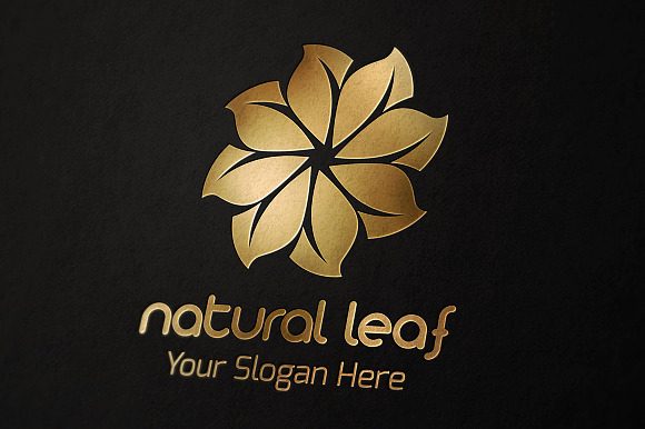Natural Leaf Logo in Logo Templates - product preview 4