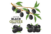 Olives with leaves