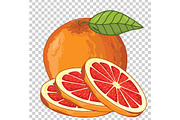 Grapefruit Isolated, Vector.