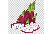 Dragon Fruit Isolated, Vector.