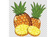 Pineapple Isolated, Vector.