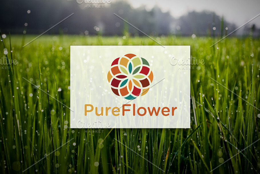 [68% off] Pure Flower - Logo Design in Logo Templates - product preview 8