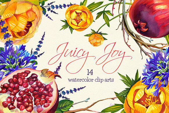 Juciy Joy- 14 watercolor clip arts in Illustrations - product preview 1