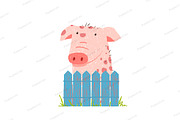 Funny Cartoon Pig Sitting over Fence