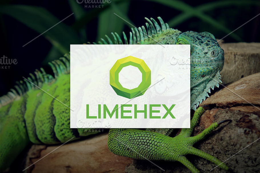 [68% off] Lime Hex - Logo Design