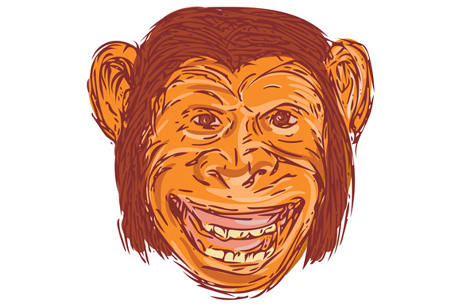 Chimpanzee Head Front  Isolated Draw in Illustrations - product preview 8