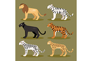 Set felines. Vector Illustration