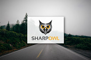[68% off] Sharp Owl - Geometric Logo