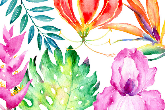 Watercolor Tropical Collection in Illustrations - product preview 1