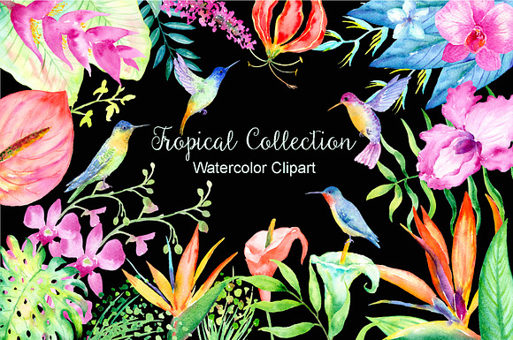 Watercolor Tropical Collection in Illustrations - product preview 2