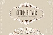 NEW! Cotton flowers watercolor