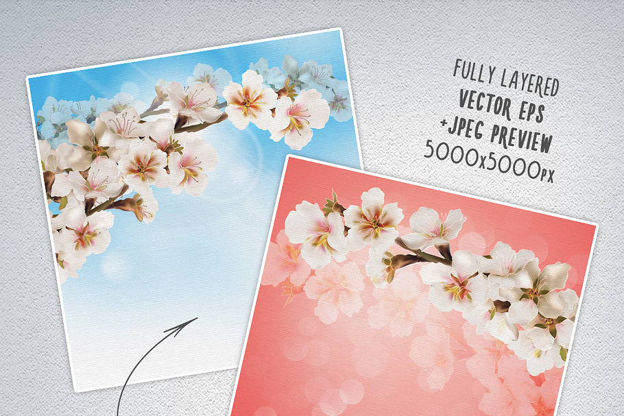 Spring blooming cherry branch in Illustrations - product preview 8